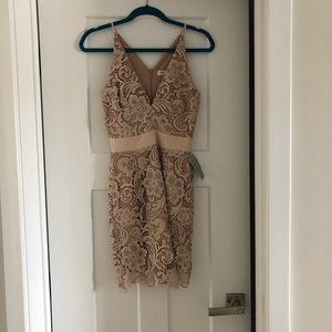 Dress the Population Lace Dress